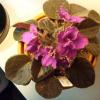 Actual color is a much deeper shade of violet-purple than pic shows
